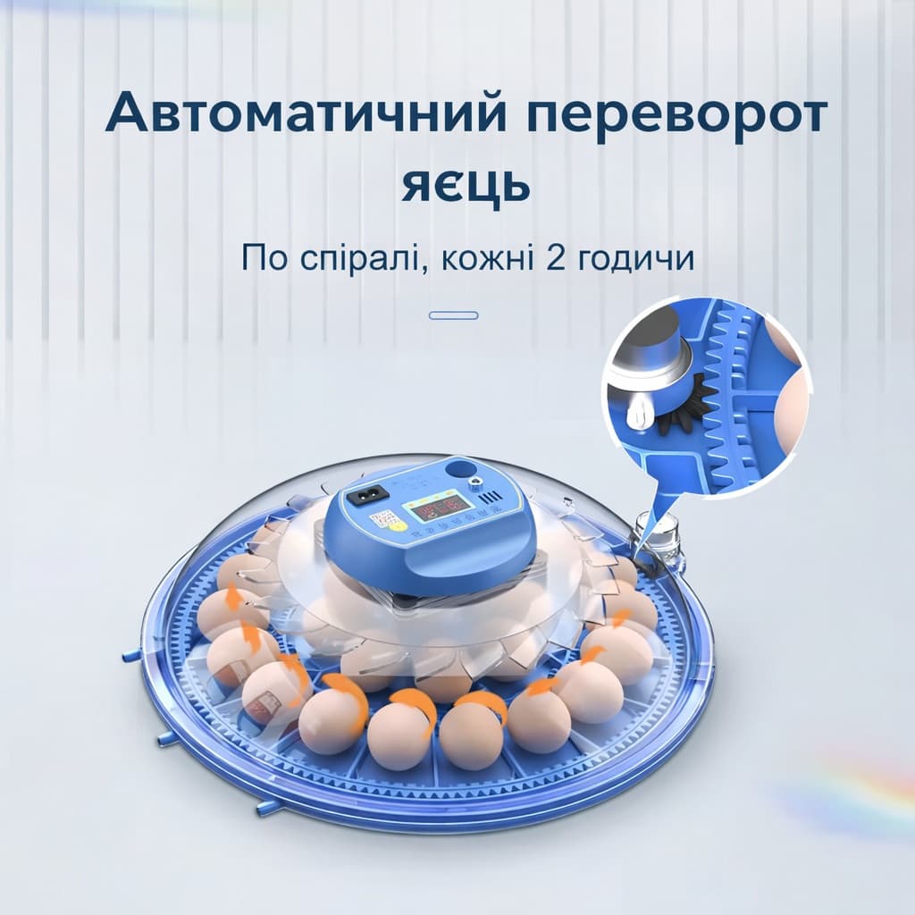 Інкубатор Vertis на 80 яєць — фото 5